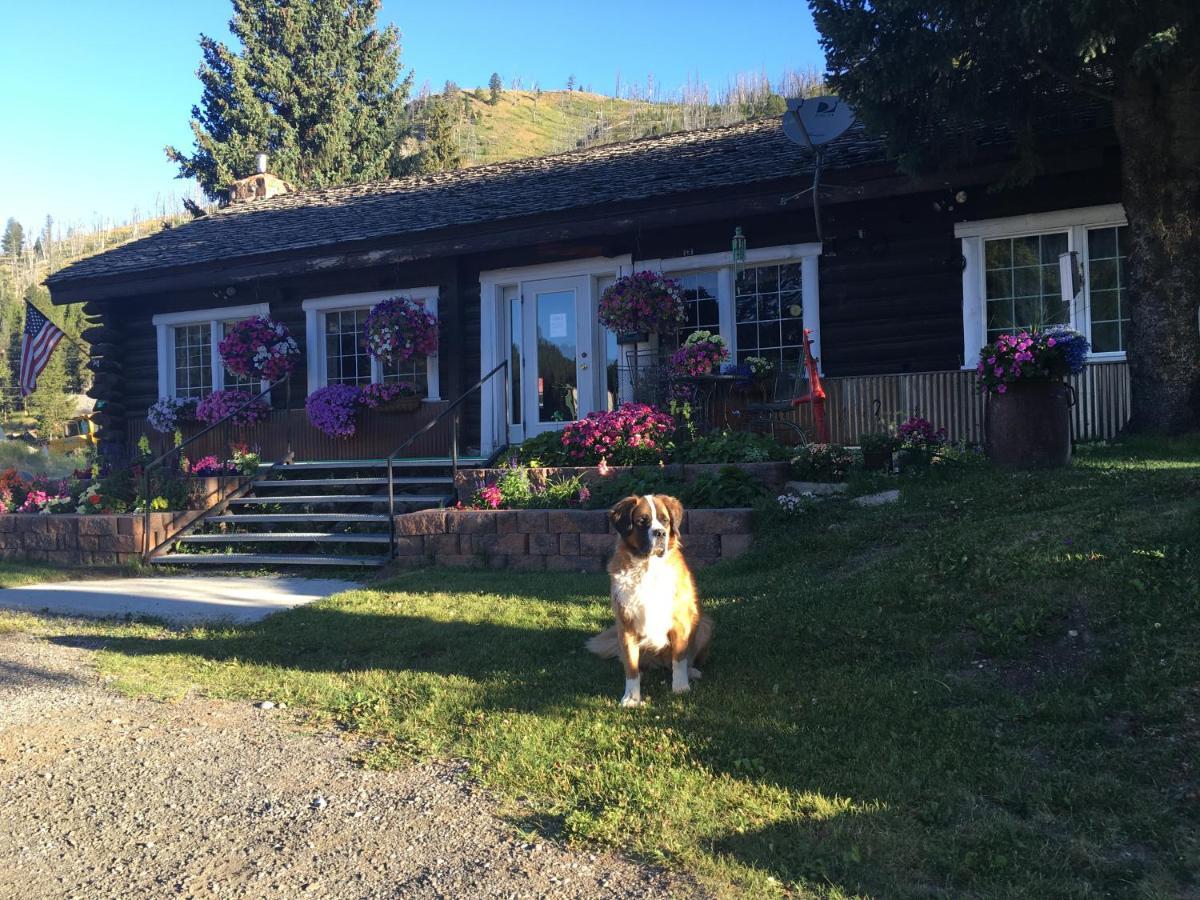 Antlers Lodge Cooke City Exterior foto